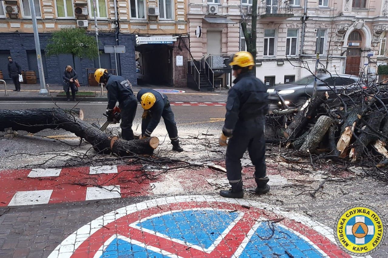 Десятки повалених дерев. З'явилися фото наслідків крижаного дощу в Києві